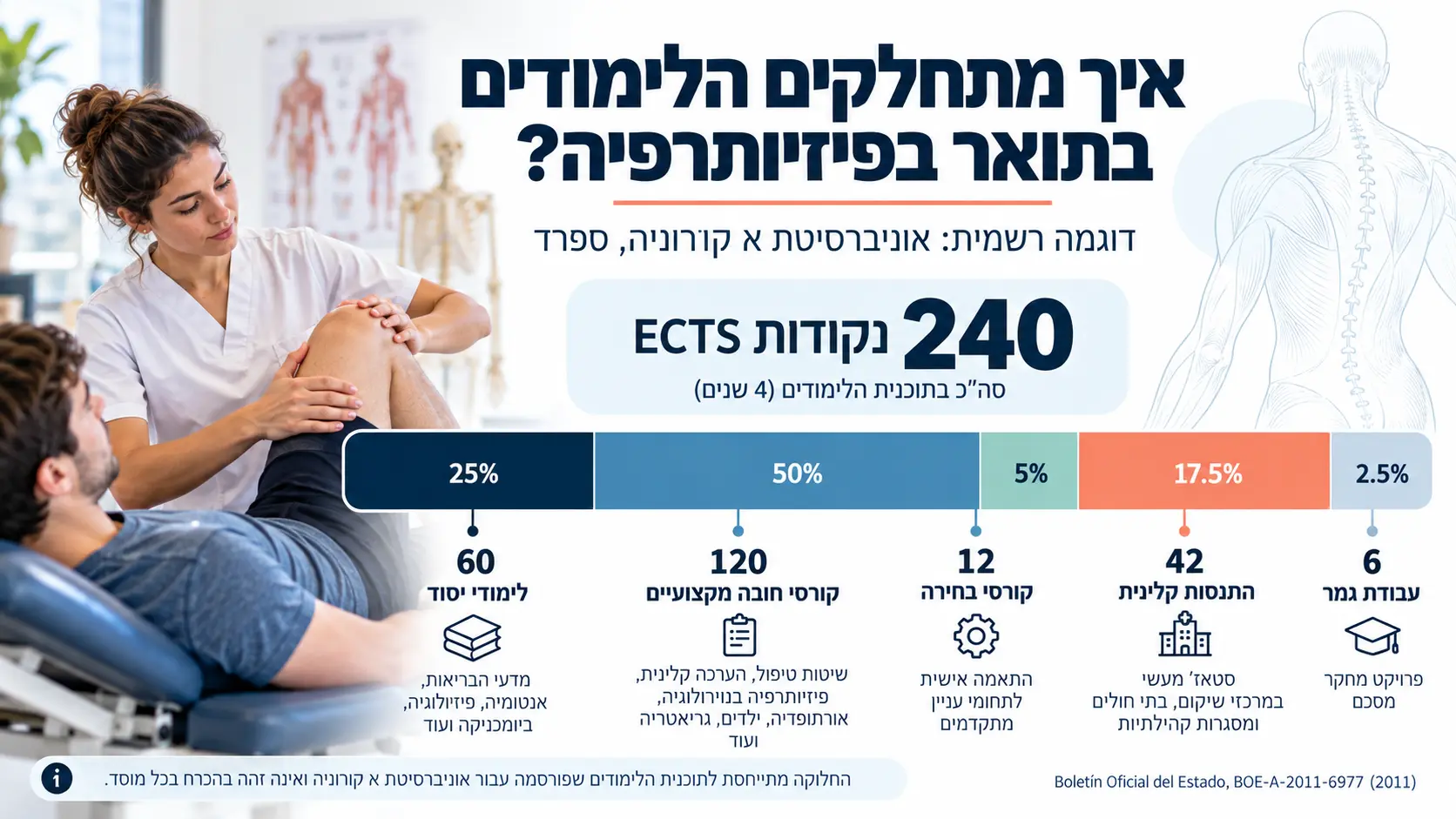 לימודי פיזיותרפיה בספרד - אינפוגרפיקה לימודי פיזיותרפיה בספרד - אינפוגרפיקה